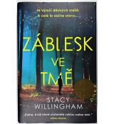 Záblesk ve tmě - Stacy Willingham