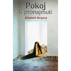 Pokoj k pronajmutí - Elizabeth Berg