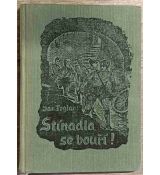 Stínadla se bouří - Jaroslav Foglar