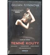 Temné kouty - Gillian Flynn #1