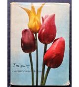 Tulipány a ostatní cibulové květiny - Vlastimil Vaněk