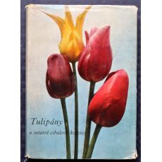 Tulipány a ostatní cibulové květiny - Vlastimil Vaněk