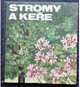 Stromy a keře - Regine Süssk
