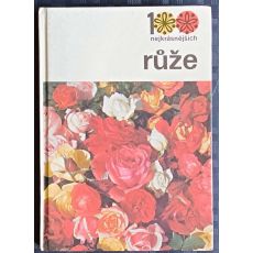 Růže - Božena Sedliská
